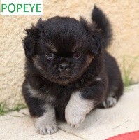 POPEYE